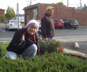 Cathy and Don trimmed the roses and weeded.