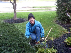 Jill trimmed and weeded.